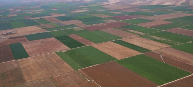 Üç ilde belirli arazilerde toplulaştırma gerçekleştirilecek