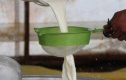 USK, çiğ süt satış tavsiye fiyatını duyurdu