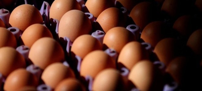 Yumurta israfını önlemek için yeni düzenleme: Artık üzerine son tüketim tarihi yazılmayacak