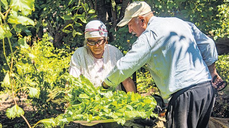 2024’te çiftçiye 584 milyar TL ‘faizsiz’ kredi