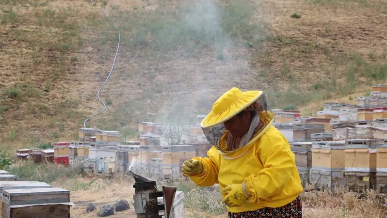 5 kova ile başladı, şimdi Türkiye’nin dört bir yanına bal dağıtıyor
