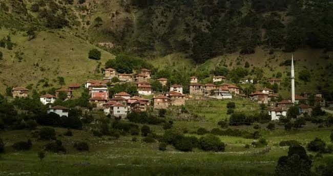 Köyüne Dönene 3 Milyon TL Destek: Tarım ve Hayvancılık Yapacak Gençler ve Kadınlara Devlet Kredisi