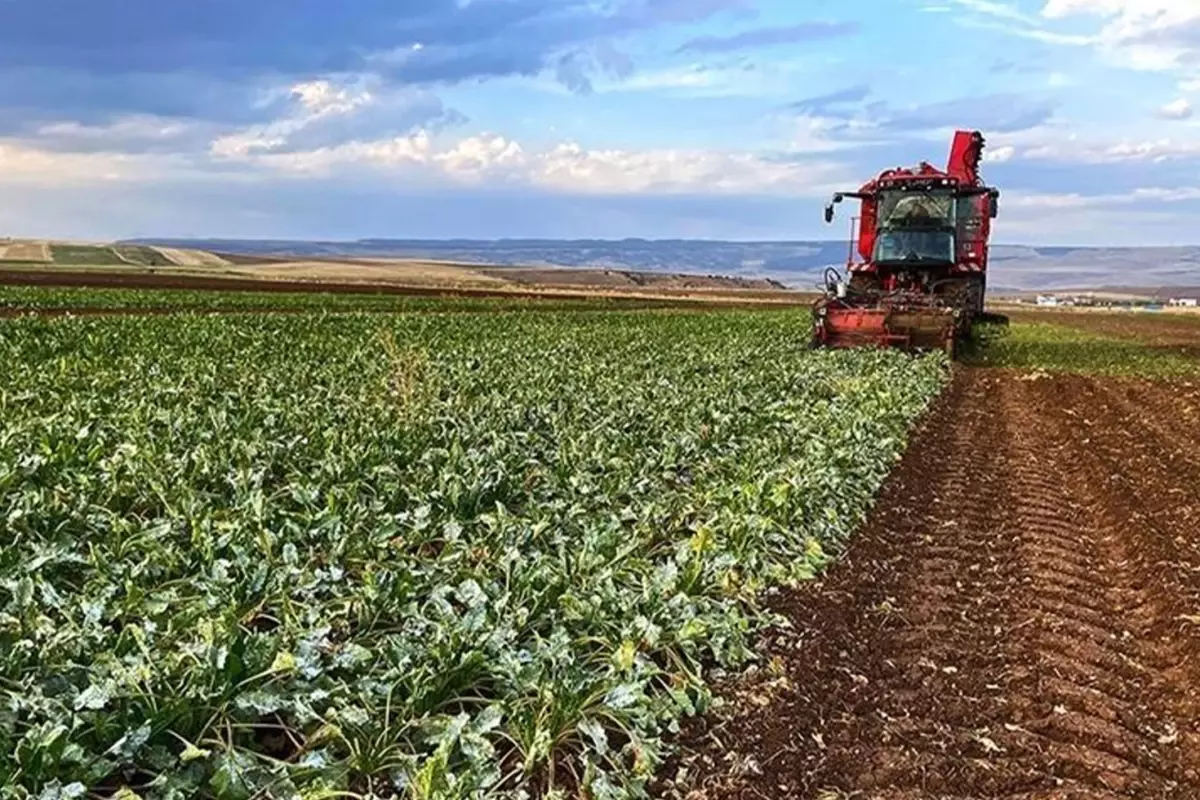 Artık 81 ilde zorunlu hale geldi! Bunu gerçekleştirmeyenler devletten destek alamayacak.