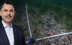 Bakan Kurum: Pina ve deniz çayırları Marmara’ya can veriyor