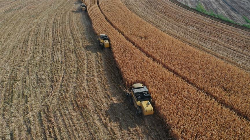 Çiftçilere 89,7 milyar liralık tarımsal destek ödemesi gerçekleştirildi.