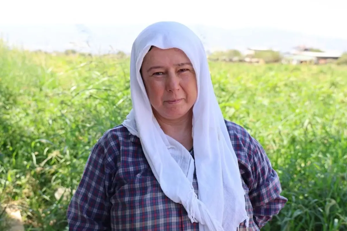 Çöl sıcağında ekmek kavgası: Öğlen 12’ye kadar çalışarak 1500 TL kazanıyorlar