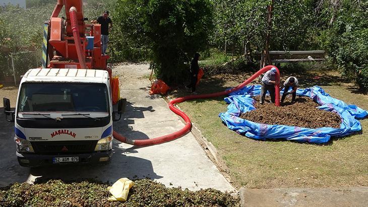 Fındıkta patoz çalışmaları başladı: Saatlik ücreti 4 bin 500 TL