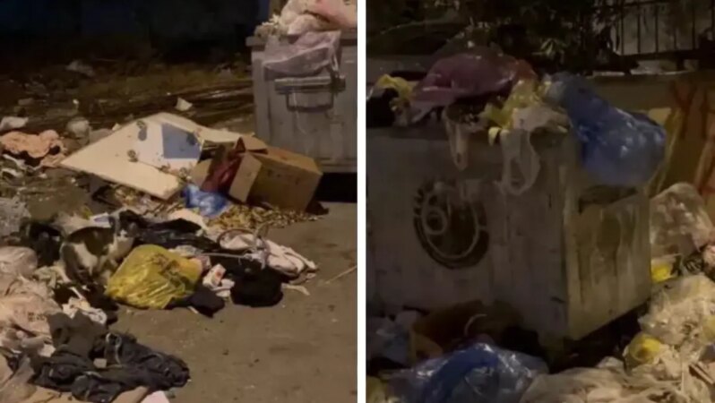 Kartal’da işçiler iş durdurdu! İlçede çöp yığınları oluştu.