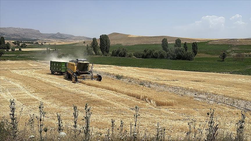 Kayseri’de 22 artışla ekili tarım arazisi üretici sayısı 32 bine ulaştı.