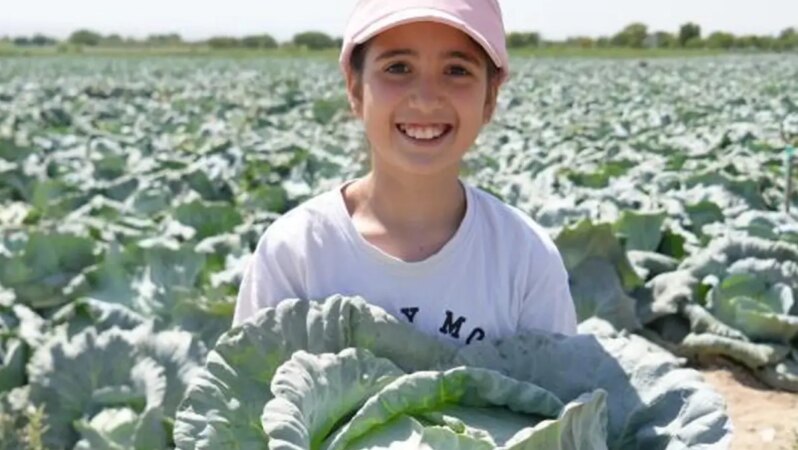 Kilosu 10 Liradan 100 Yıllık Ata Tohumu.