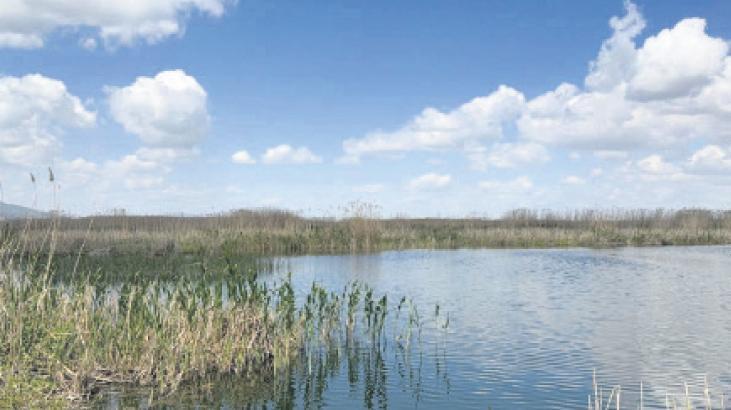 Kuraklık, Ulusal Su Kurulu’nun gündeminde