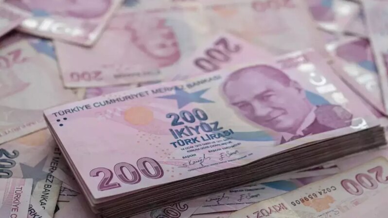 Merkez Bankası duyurdu: Türk Lirası Temmuz ayında değer kaybı yaşadı.