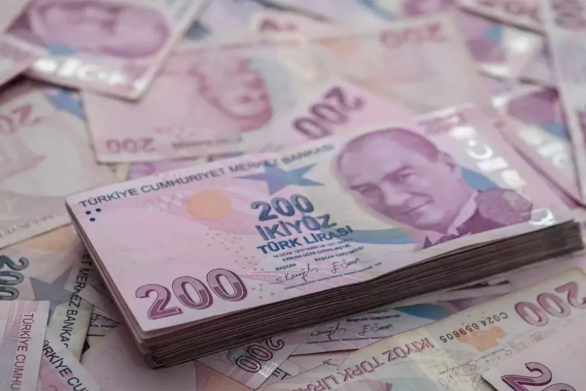 Merkez Bankası duyurdu: Türk Lirası Temmuz ayında değer kaybı yaşadı.