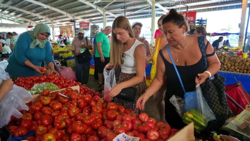 Uzun zamandır gündemde olan Hal Kanunu taslağı, 1 Ekim’de Meclis’e sunuluyor.