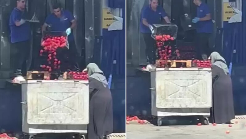 Zincir market kasalar dolusu domatesleri çöpe attı.