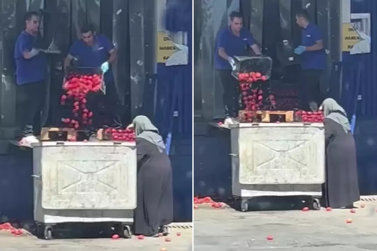 Zincir market kasalar dolusu domatesleri çöpe attı.