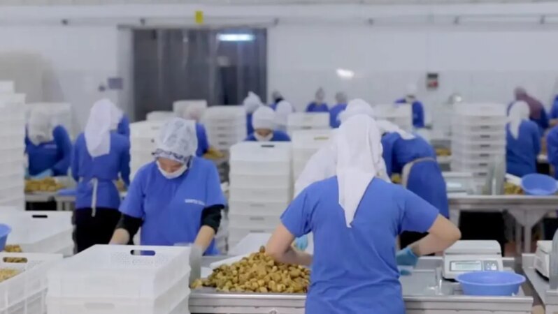 14 ülkeye ihracat gerçekleştiren Türk gıda devi konkordato başvurusunda bulundu.