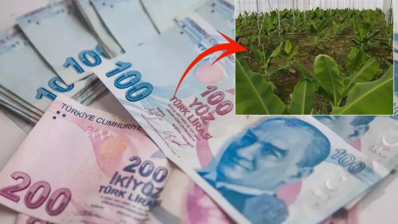2019’da aldığı kredi ile yaşamı değişti: Aylık 640 bin TL gelirim var.