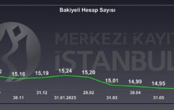 Yatırımcı Sayısı İlüzyonu