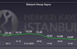 Yatırımcı Sayısı İlüzyonu