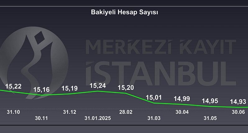 Yatırımcı Sayısı İlüzyonu