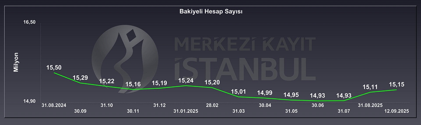Yatırımcı Sayısı İlüzyonu
