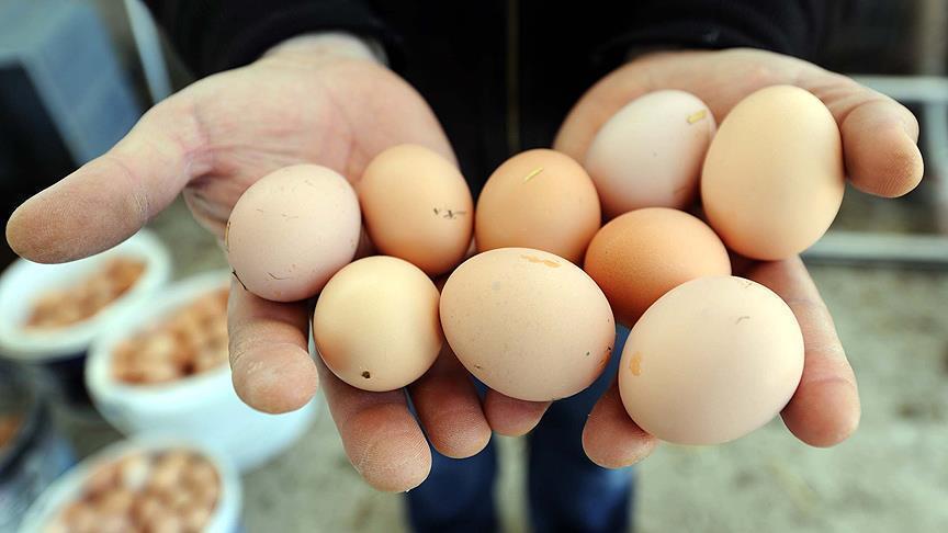 90 TL’ye kadar düşen yumurta fiyatında dikkat çeken yükseliş! Nedeni belirlendi.