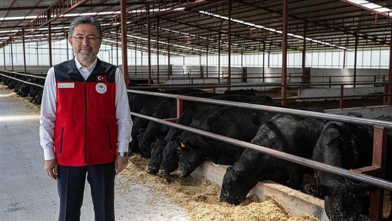 Bakan Yumaklı: Türkiye’deki hayvan sayısı arttı.