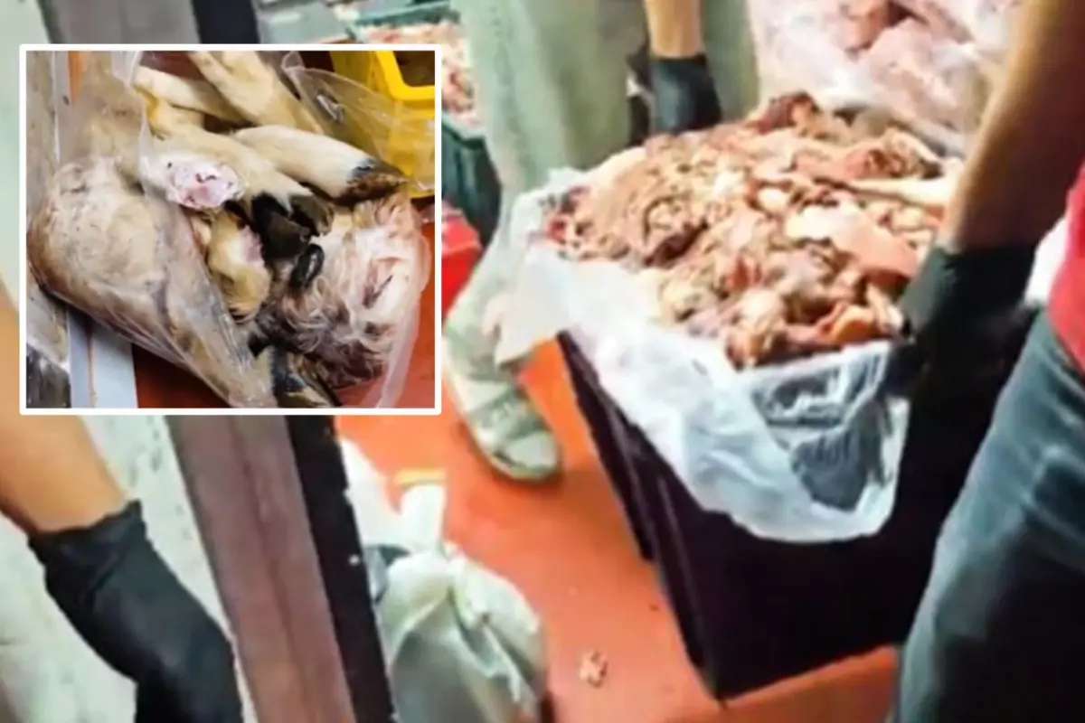 Başkentte iğrenç skandal! Hepsini halka yedireceklerdi.