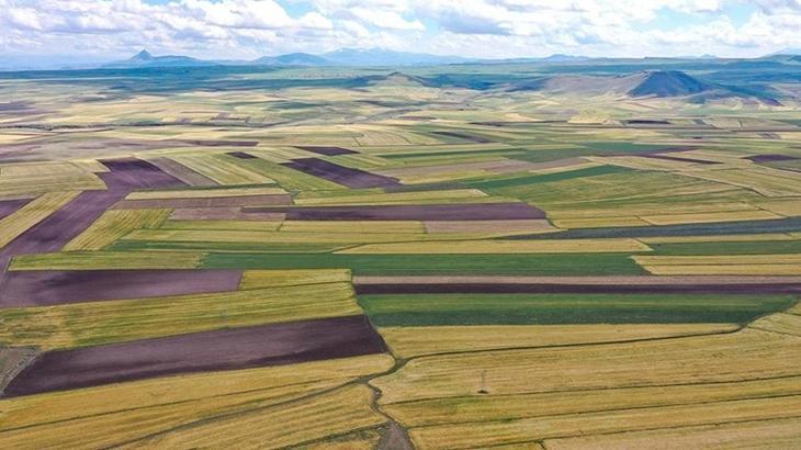 Devlet Kiralık Arazi Sunuyor! İlk Kiralama Tarihi Açıklandı