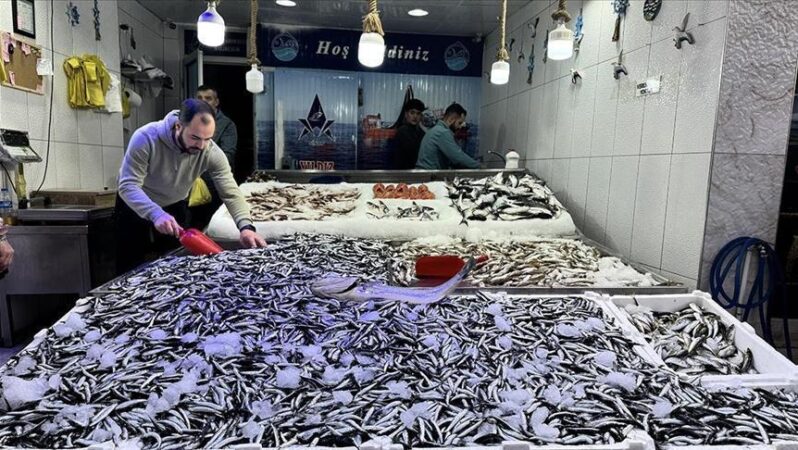 Hamsi avcılığı, hem balıkçıları hem de tüketicileri mutlu etmeye devam ediyor.