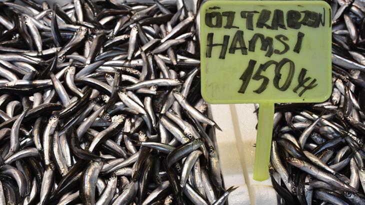 Hamsi ve istavrit tezgahlarda yerini aldı! Kilosu 150 TL