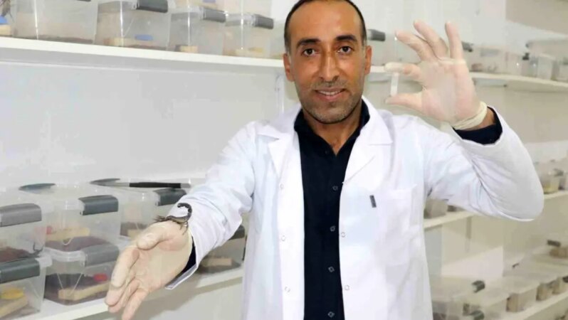 İnşaatçılığı terk edip bu alana yöneldi, gramı başına on binlerce dolar kazanacak.