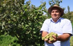 Karadeniz fındığını tamamen farklı bir coğrafyada yetiştirdi: Kimse inanmıyor