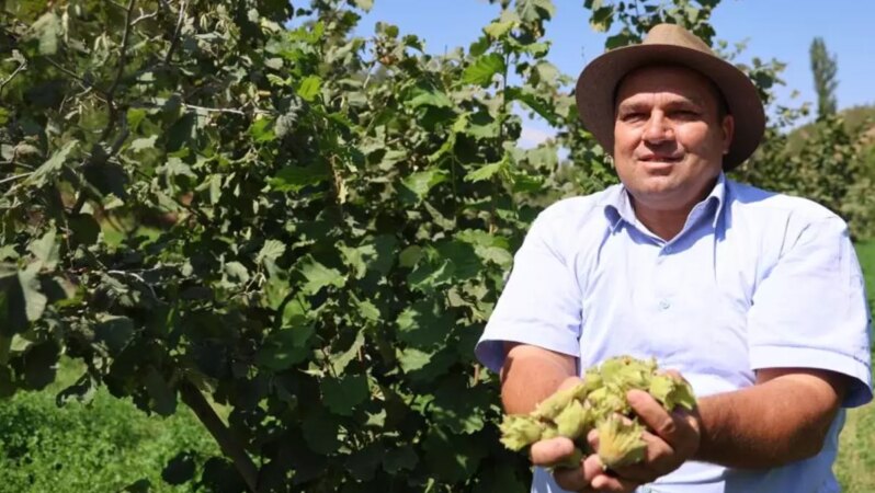 Karadeniz fındığını tamamen farklı bir coğrafyada yetiştirdi: Kimse inanmıyor