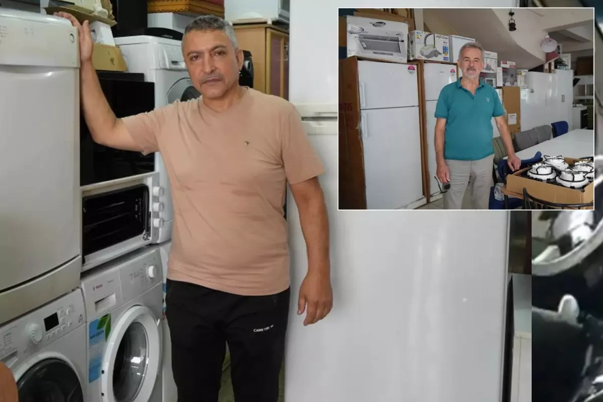 Öğrencilerin geliştirdiği formül nedeniyle sinek avlamaya başladılar: Bu hızla devam ederse iş sona erecek.