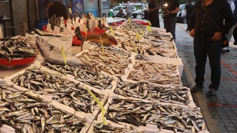 Rize’de balıkçı tezgahlarında bereket var