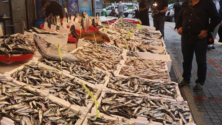 Rize’de balıkçı tezgahlarında bereket var