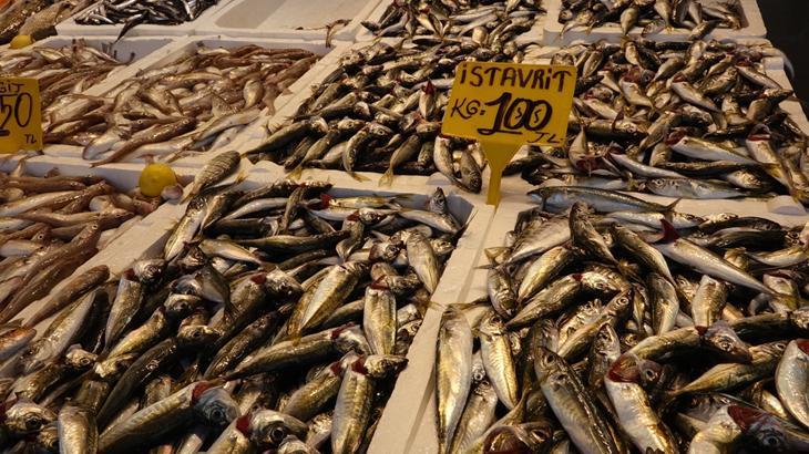 Sezon başladı: Tezgahlar istavritle dolup taştı