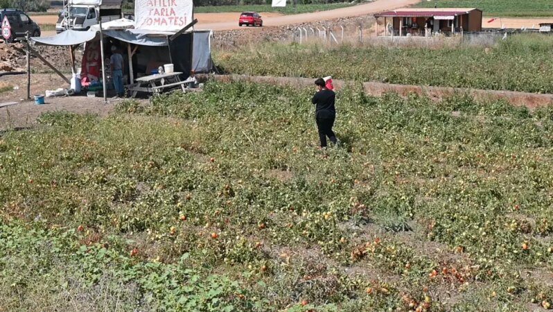 Tarlasını halka sundu, para konusunda cömert davrandı.