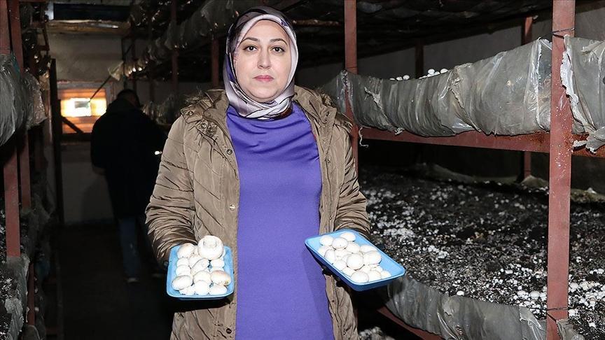 Devlet yardımıyla inşa ettiği tesisle 75 ton mantar üretiyor.