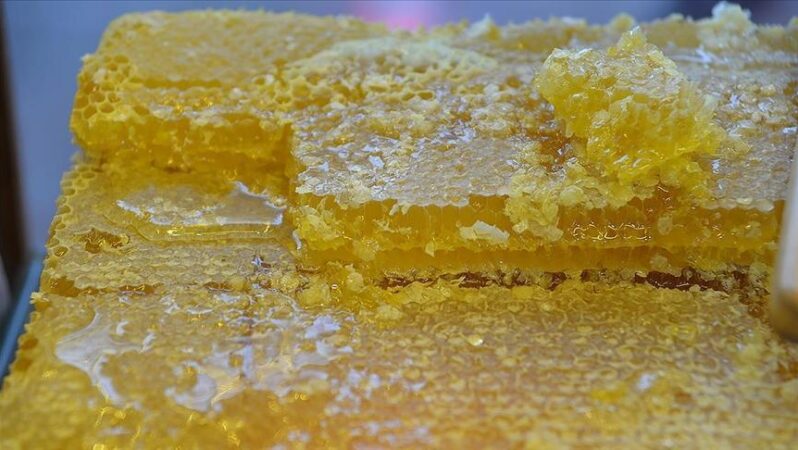 Doğu Karadeniz'in bal ihracatı 1,7 milyon doları geçti 1 Doğu Karadeniz’in bal ihracatı 1,7 milyon doları geçti