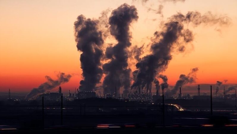 Fosil yakıtların küresel enerji tüketimindeki öncülüğü 2050 yılına kadar devam edecek.