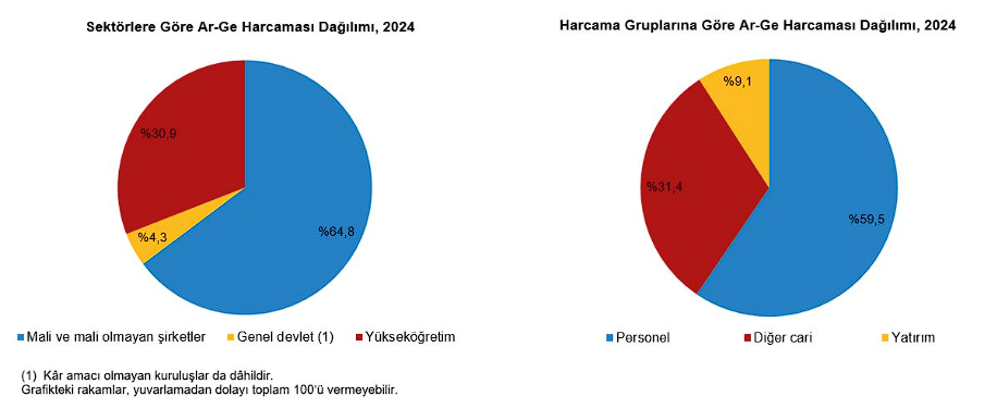Türk Ekonomisinin Kalkınmasının Anahtarı: Ar-Ge 4 image 65