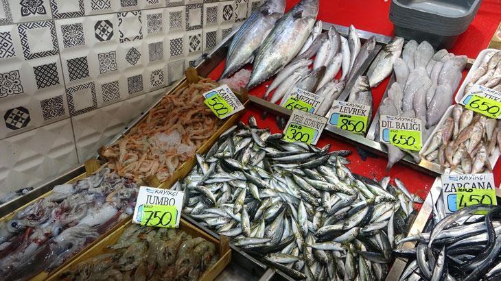 Karadeniz’de hamsi yoğunluğu yüksek