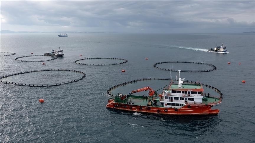 Karadeniz’den su ürünleri ihracatında 9 ayda 278,7 milyon dolarlık gelir elde edildi.