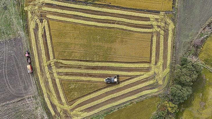 Tarımsal üretime dair kısıtlamalar tekrar tanımlandı.