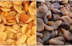 Türkiye’den 217 milyon dolarlık kuru kayısı satışı yapıldı.