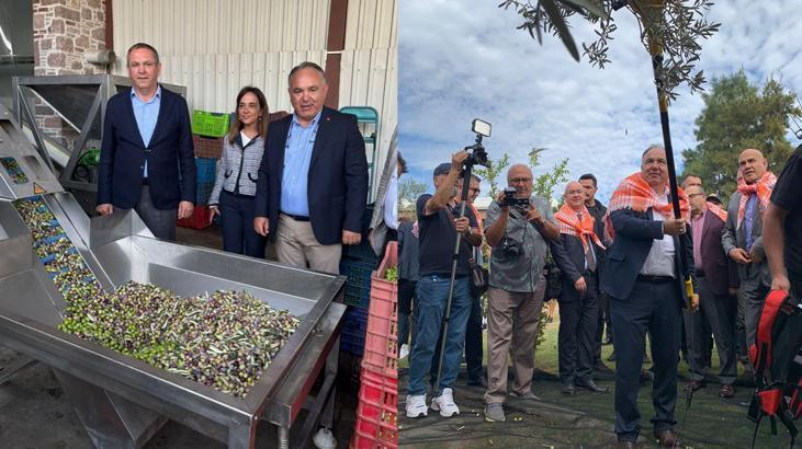 Zeytinyağı başkentinde Hasat ve Turizm Festivali: 506 milyon dolar kazanç.