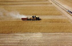 Çiftçilere 1,5 milyar liralık tarımsal destek ödemesi